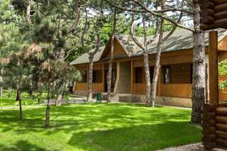 Комплексы для отдыха с коттеджами/бунгало Комплекс Отдыха Ёлки-Палки Одесса Улучшенный коттедж (для 4 взрослых)-1